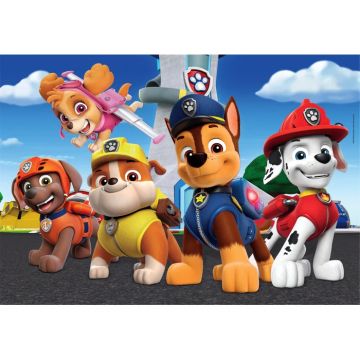 PZL 2X60 PAW PATROL