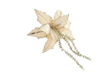 FIORE NATALIZIO CON CLIP CHAMPAGNE/CHAMPAGNE