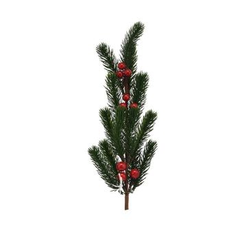 RAMO DI PINO VERDE CON BACCHE ROSSE