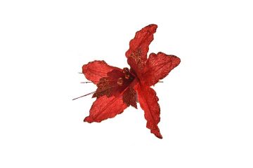 STELLA CORTO 15CM VELLUTO ROSSO