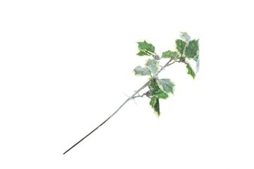 PICK INNEVATO C/BACCHE