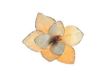 STELLA VELLUTO GAMBO CORTO C/BACCHE CREMA