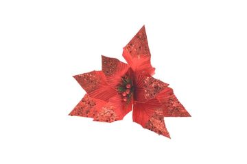 STELLA VELLUTO GAMBO CORTO C/BACCHE ROSSO