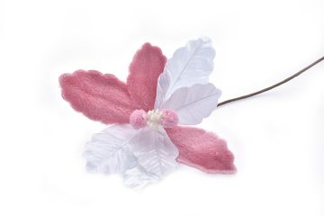 FIORE BIANCO E ROSA CON GAMBO LUNGO