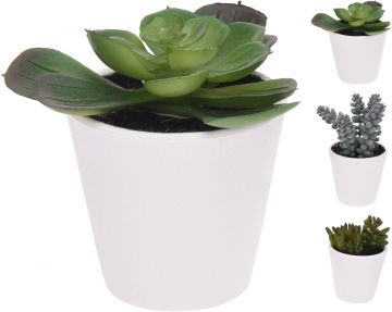 VASO CON PIANTA 15CM ASSORTITO