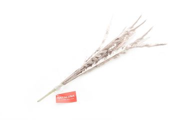 RAMO DECORATIVO CHAMPAGNE H 50CM