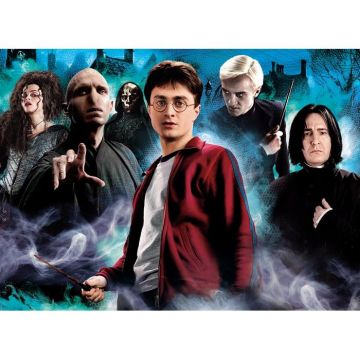PUZZLE 1000 HARRY POTTER