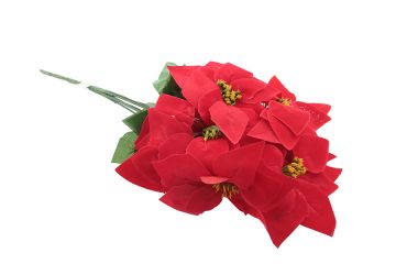 BOUQUET DI STELLE DI NATALE ROSSO