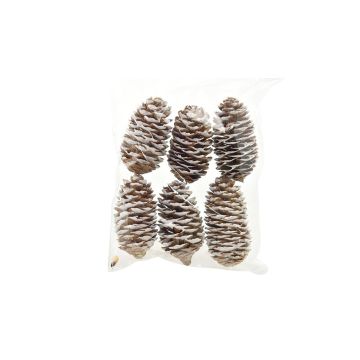 SET 6 PIGNE DI ABETE ARTIFICIALI COLOR NATURALE E BIANCO