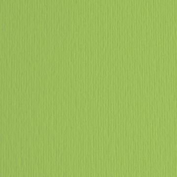 CARTONCINO ELLE-ERRE 50X70 VERDE PIS VERDE PISELLO