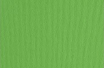 CARTONCINO ELLE-ERRE 50X70 VERDE