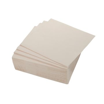 SET 40 TOVAGLIOLI DI CARTA A 2 VELI 38X38CM LINO