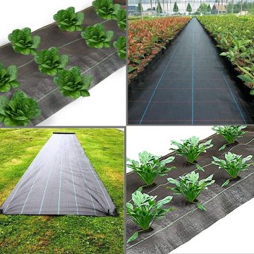 TELO PACCIAMATURA 1X10MT