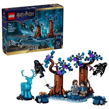 LEGO HARRY POTTER - FORESTA PROIBITA EXPECTO PATRONUM