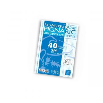 PIGNA - CONFEZIONE 40 FOGLI RICAMBI RINFORZATI A4 QUADRETTI