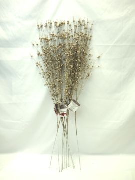 RAMO A CADUTA CON PALLINE LUCENTI CHAMPAGNE H 90CM