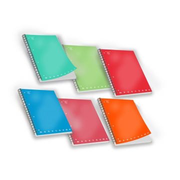 PIGNA - QUADERNO AD ANELLI MONOCROMO SKIP 70 FOGLI A5 RIGHE ASS.