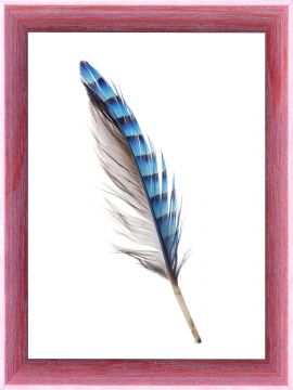 CORNICE AZUMA 15MM 18X24CM ROSA CRILEX