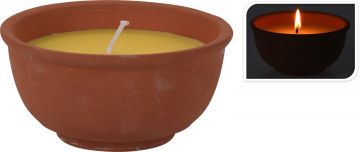 VASO IN COCCIO CITRONELLA 13X6CM