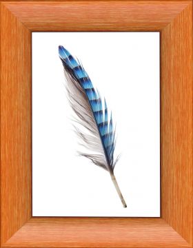 CORNICE JOVINE ARANCIO CRILEX 24X30CM