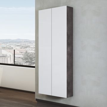 COLONNA MOD. MULTIUSO CM 60X22 H. 160 LAMIERA OSSIDATA E BIANCO LUCIDO