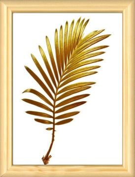 CORNICE MORESCO 15M 50X70CM NATURALE CRILEX