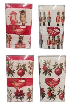 COPPIA SPUGNA 1+1 DIGITALE F.R.