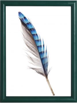 CORNICE VIRIUS 12MM 18X24CM VERDE CRILEX