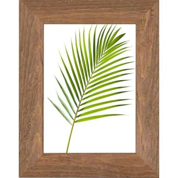 CORNICE WARREN NOCE CRILEX 18X24CM