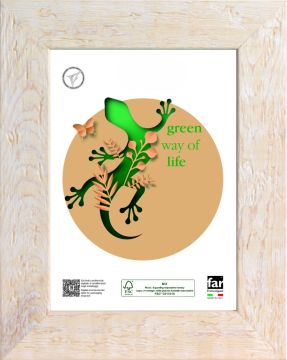 CORNICE WARREN IN LEGNO E CRILEX BIANCA 30X40CM 