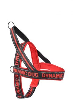 PETT.NEOPRENE  DYNAMIC ROSSA 45