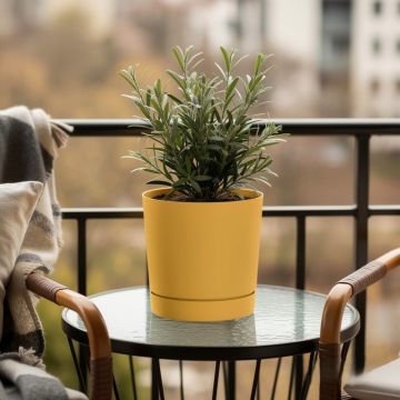 VASO TUBO P DIAM. 10,8 H. 10,9 MUSTARD
