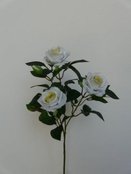 ROSA DIAMOND SPRAY X3 68CM CR