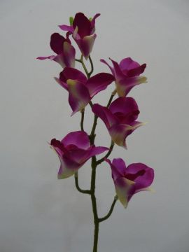 DENDROBIO SPRAY 59CM PU