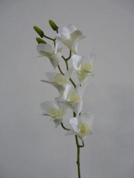 DENDROBIO SPRAY 59CM WH