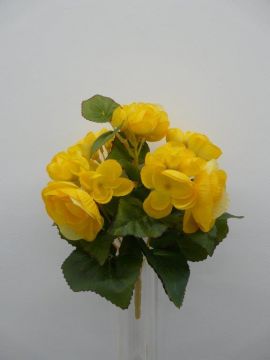 BEGONIA BUSH X5 YL