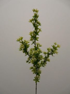 JASMINE SPRAY X 4 WH