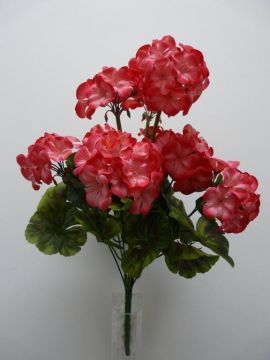 GERANEO BUSH X9 47CM BT C/VASO