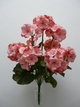 GERANEO BUSH X9 47CM PK C/VASO