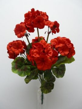 GERANEO BUSH X9 47CM RD C/VASO