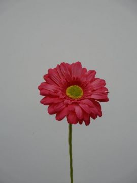 GERBERA SPRAY X1 63CM FU
