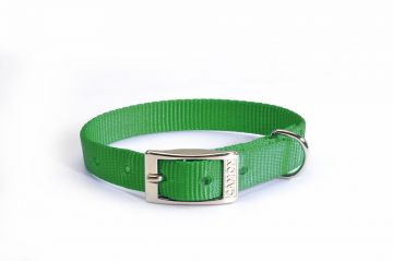 COLLARE NYLON 25X500 VERDE