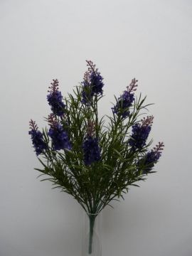 LAVANDA BUSH X18 50CM VI