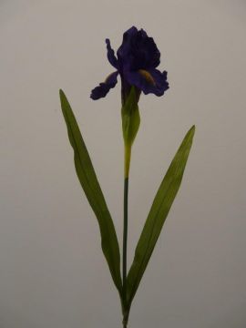 IRIS SPRAY X1 72CM PU