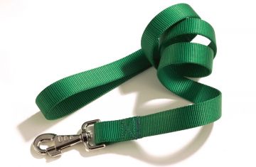 GUINZAGLIO NYLON 25X1000 VERDE