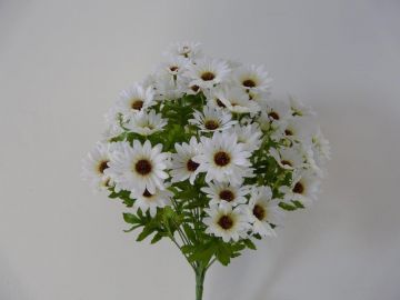 CRISANTEMO BUSH X24 45CM WH AUT