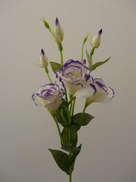 LISIANTHUS SPRAY 80CM CRVI