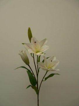 TYGER LILY SPRAY X4 79CM CR