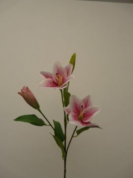 TYGER LILY SPRAY X4 79CM PK