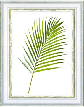 CORNICE DURAN 30MM 13X18CM VERDE CRILEX